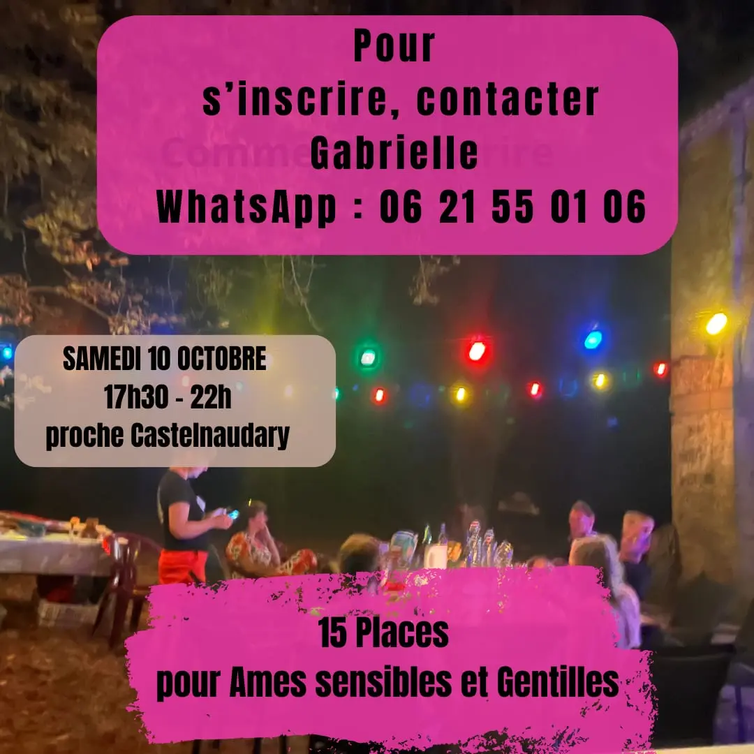 Dîner convivial sous des lampions colorés pendant une soirée privée